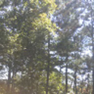 Meet your Posher, Ed